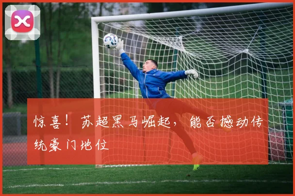惊喜！苏超黑马崛起，能否撼动传统豪门地位
